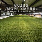 Скидка 20% на весь хмель Скидка 20% на весь хмель