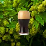 Рецепт пива Дункельвайцен (Dunkelweizen) Рецепт пива Дункельвайцен (Dunkelweizen)