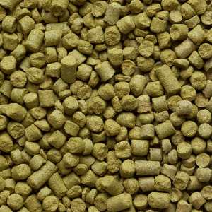 Northern Brewer