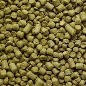 East Kent Goldings
