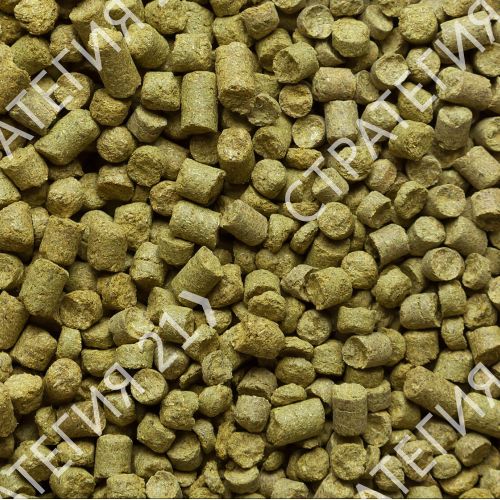 East Kent Goldings