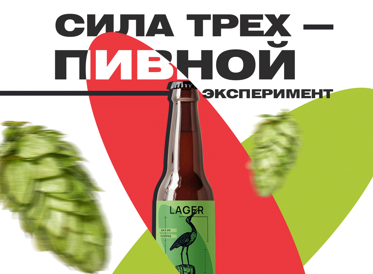 прямоуг (4).jpg