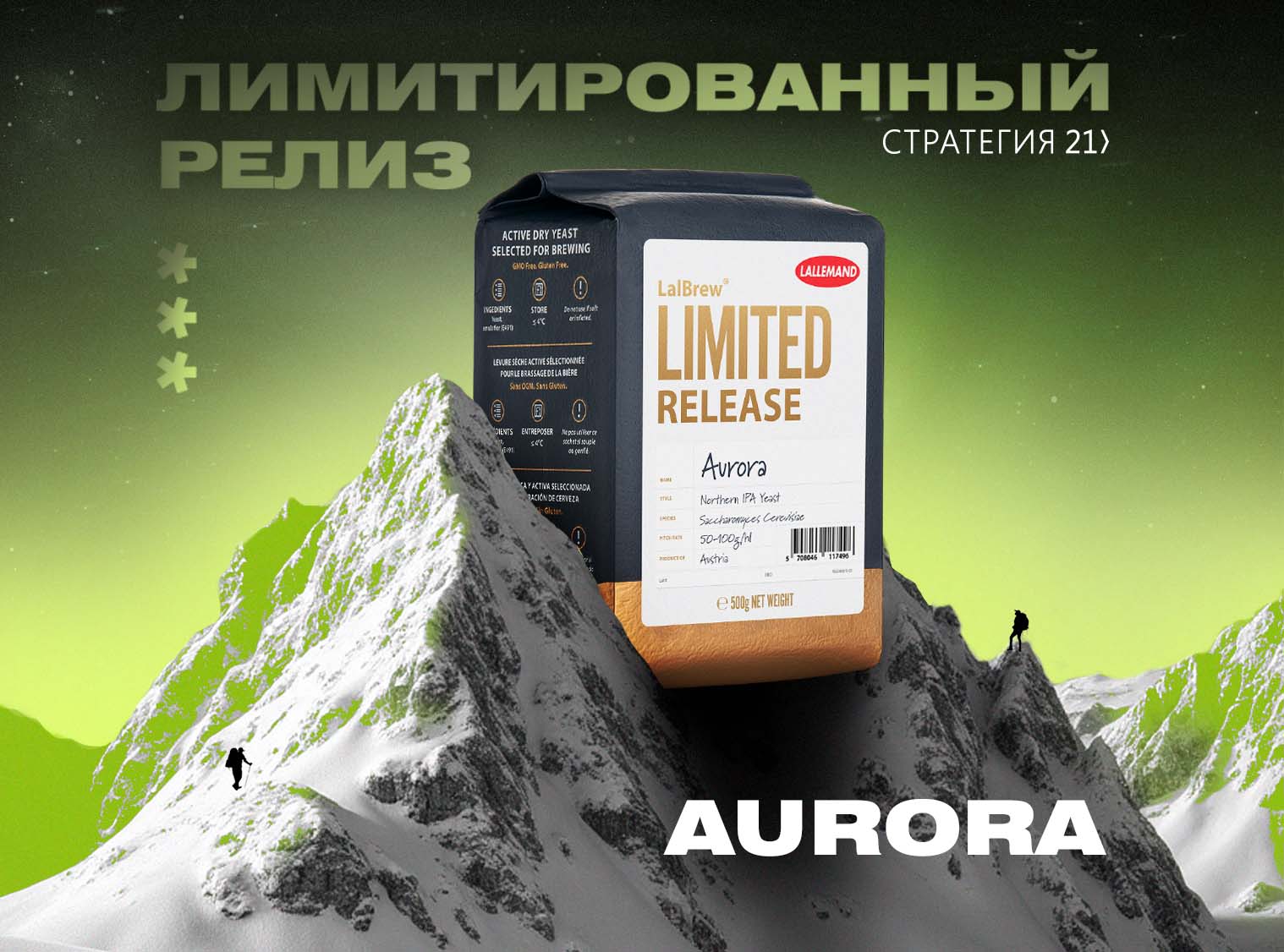 В1.jpg