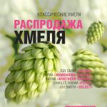 Кружится голова? Это не магнитные бури, а распродажа хмеля! Кружится голова? Это не магнитные бури, а распродажа хмеля!