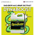 DynaBoost: как сварить пиво с ярким ароматом? DynaBoost: как сварить пиво с ярким ароматом?